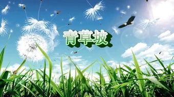 青草国产在线,一场视觉与味蕾的盛宴